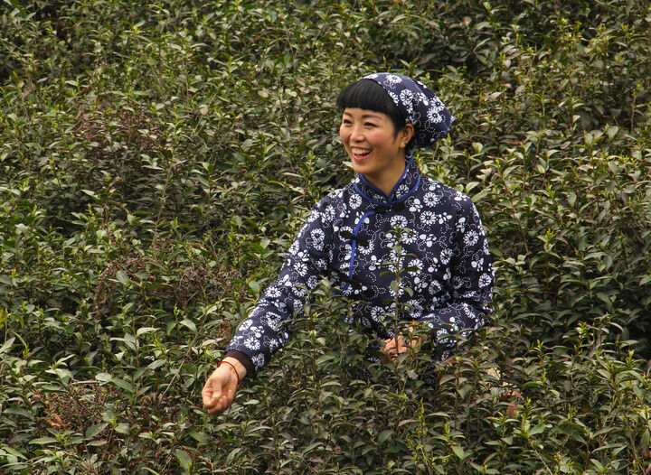 午夜低语 166网主播